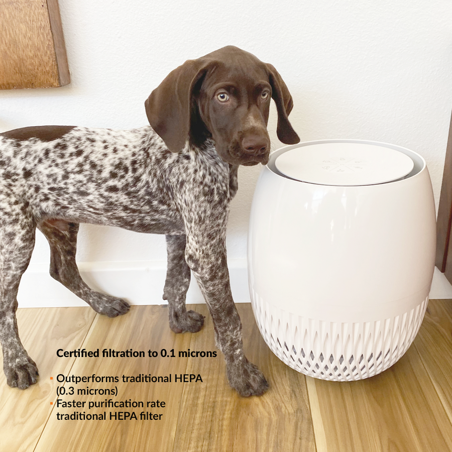 Avari EG HEPA Air Purifier with Pet Image