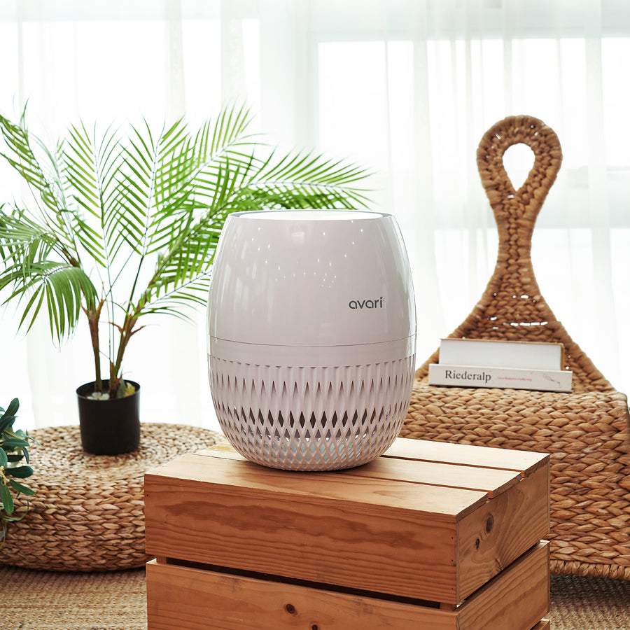 Avari EG HEPA Air Purifier in the Family Room