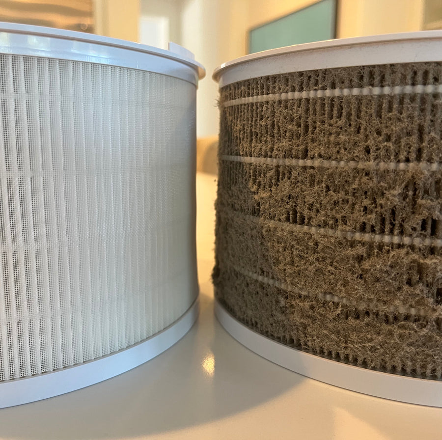 Avari EG HEPA Clean filter and Dirty filter 02